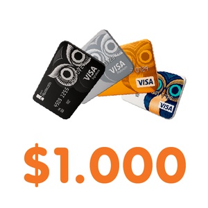 imagen de CRÉDITO EN TARJETA VISA